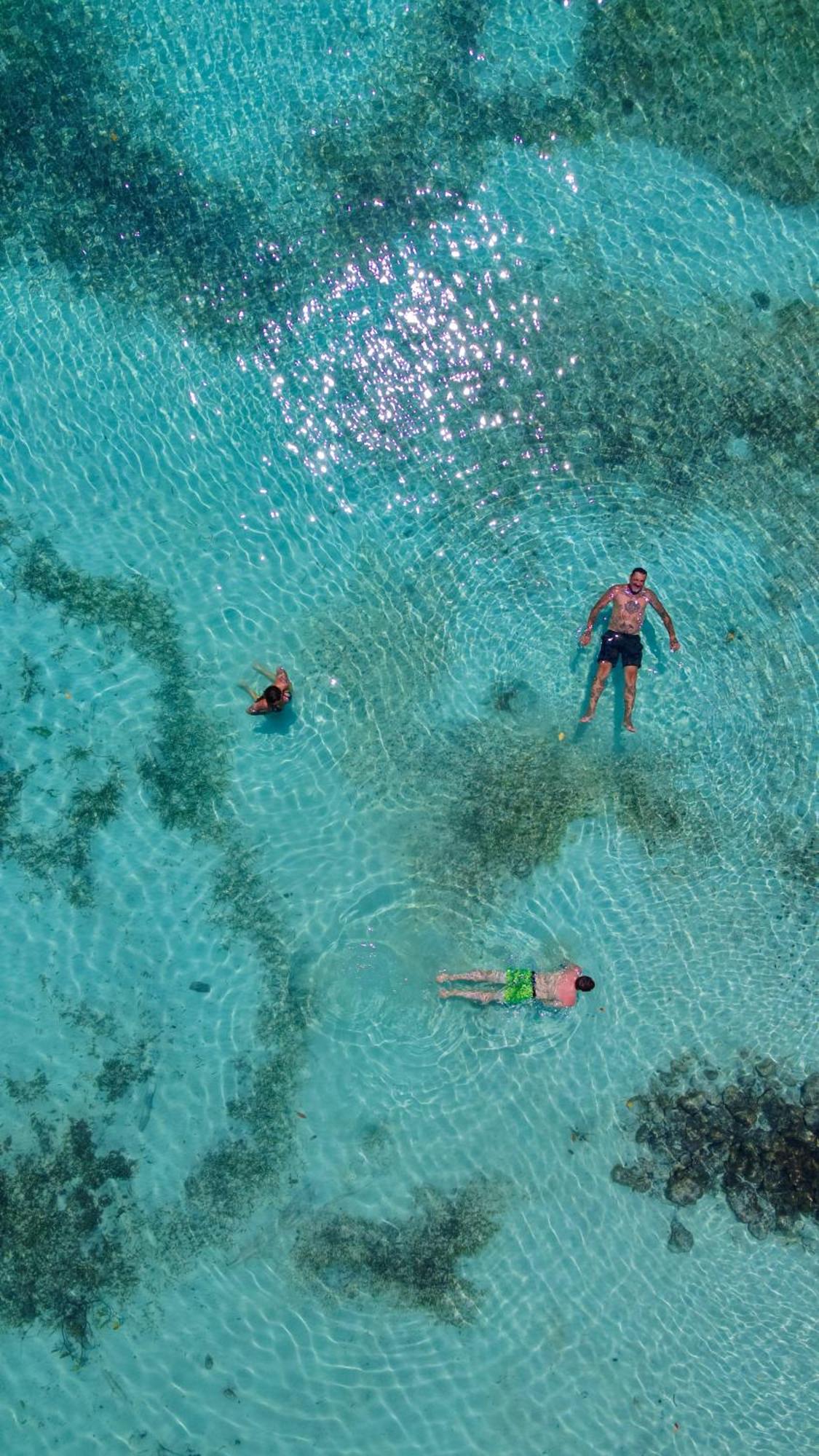 Medusa Hostel Isla Tintipan Tintipan Island Dış mekan fotoğraf
