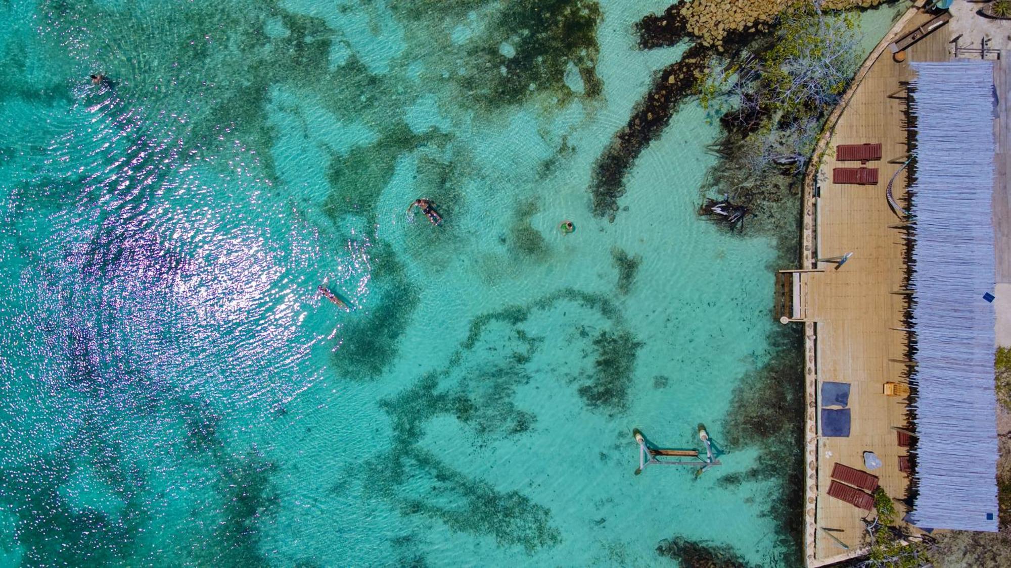 Medusa Hostel Isla Tintipan Tintipan Island Dış mekan fotoğraf