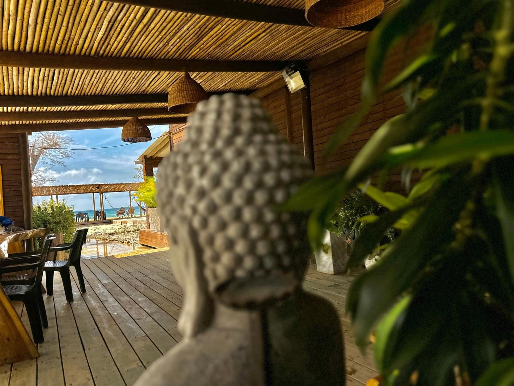 Medusa Hostel Isla Tintipan Tintipan Island Dış mekan fotoğraf